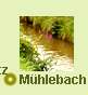 Mühlebach 2007
