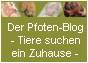 Der Pfoten-Blog - Tiere suchen ein Zuhause !!!