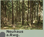 Rennsteig - Neuhaus a.Rwg.