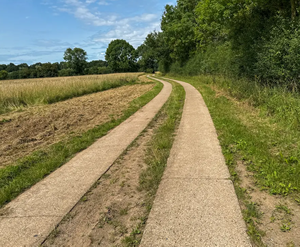 ein ziemlich mistiger Radweg für mich