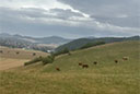 Hohlestein