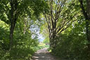 Prinzenquelle