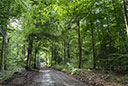 Habichtswald