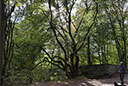 Prinzenquelle