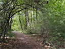 Hohlestein
