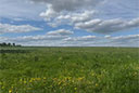 Wilhelmstal
