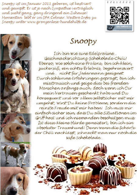 Snoopy - sucht dringend ein Zuhause