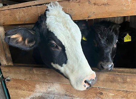 Pippi und M&auml;xchen