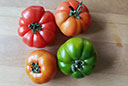 Tomatensamen, Tomatenpflanzen: Vierländer Platte, Green Zebra, Rote Murmel und Marinda aus Italien
